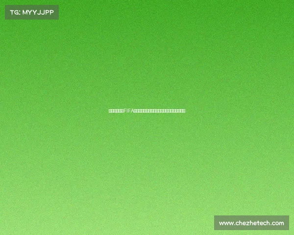 世界杯参赛国FIFA排名全景解析与实力格局观察深度解读全球格局